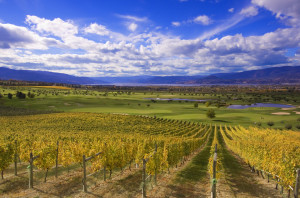 Dev Randhawa Kelowna image